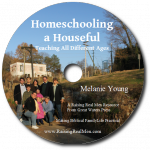 Homeschooling a Houseful CD Art with Shadow