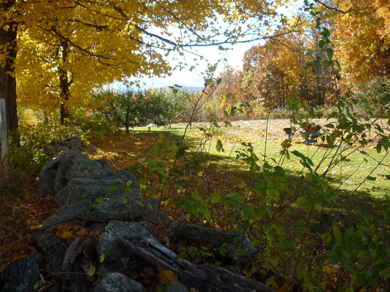 Fall Colors in Maine Copyright 2010 Hal & Melanie Young