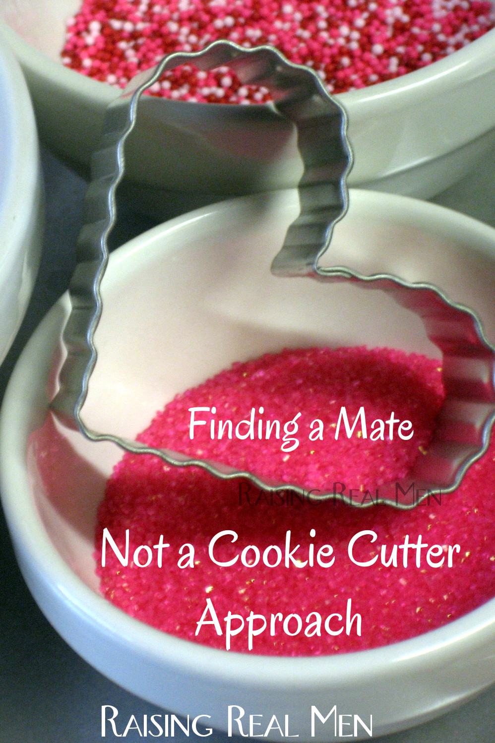 Raising Real Men » » Finding a Mate Not a Cookie Cutter Approach