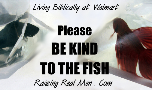 Blog - Be Kind to Fish - H