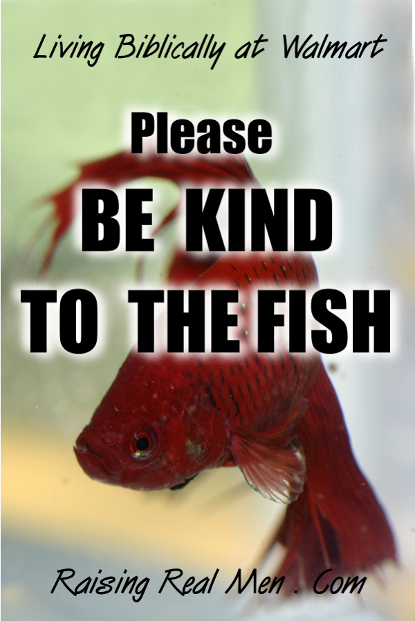 Raising Real Men » » Be Kind To Fish