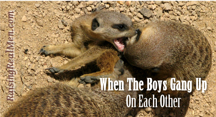 Blog - When Boys Gang Up - H