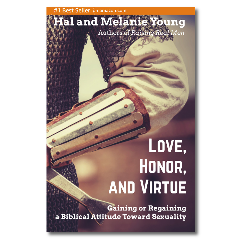 Book cover with the arm and torso of a knight carrying a sword. Title is Love, Honor, and Virtue: Building or Rebuilding a Biblical Attitude Toward Sexuality by Hal & Melanie Young
